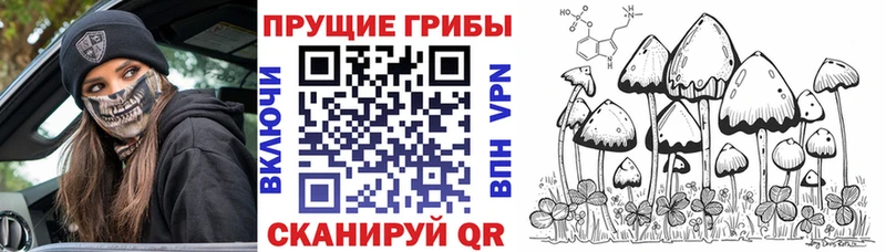 что такое   Переславль-Залесский  мега ссылки  Псилоцибиновые грибы Psilocybe 